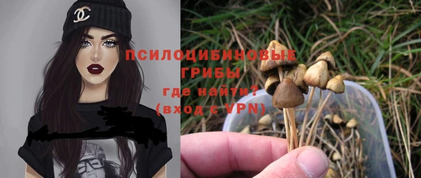 гашик Вязьма