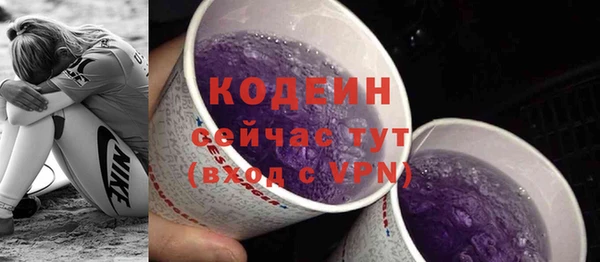 прущие грибы Вязники