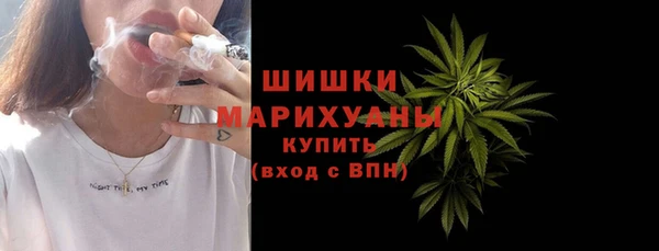 амф Вяземский