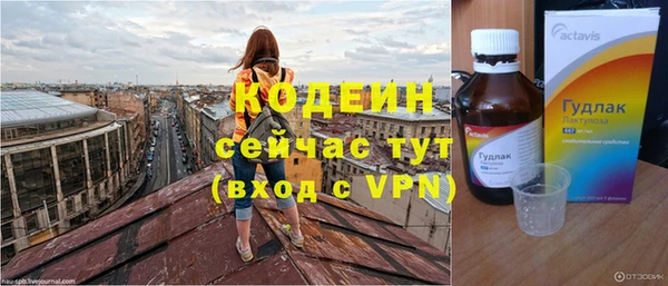 прущие грибы Вязники